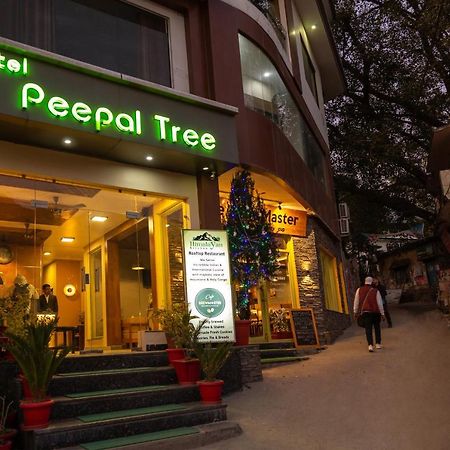 Hotel Peepal Tree Rishikesh Luaran gambar